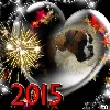  - Meilleurs voeux pour 2015 !