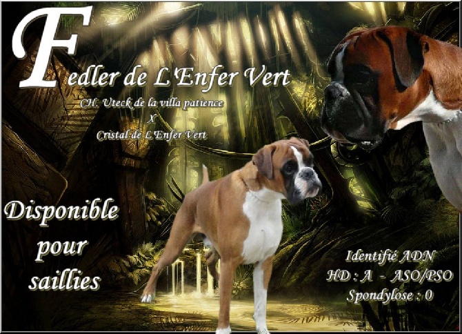 de L'Enfer Vert - .... F E D L E R ...